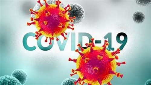 COVID-19 (anti-SARS-CoV-2 IgG/IgM)